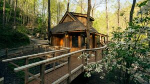 Treehouse Grove: el sueño de vivir entre los árboles