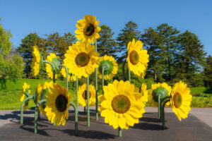 Los Girasoles de Vincent van Gogh llegan al Jardín Botánico de Nueva York