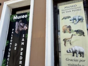 Un viaje al pasado, en el Museo Paleontológico “Fray Manuel de Torres” de San Pedro