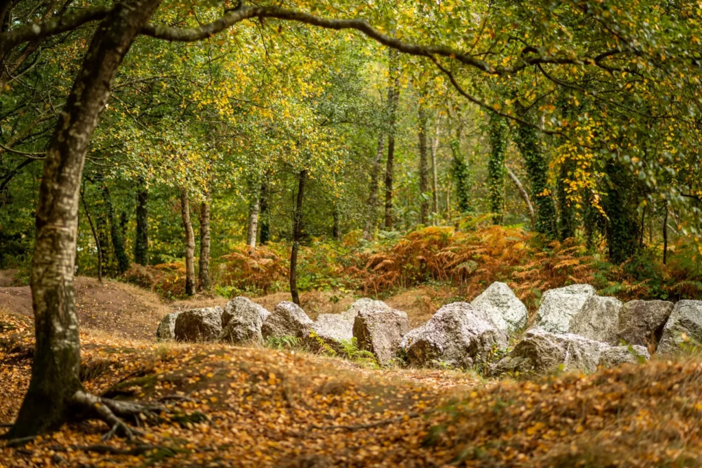 La entrada al pueblo de Paimpont, la única población dentro de la selva
