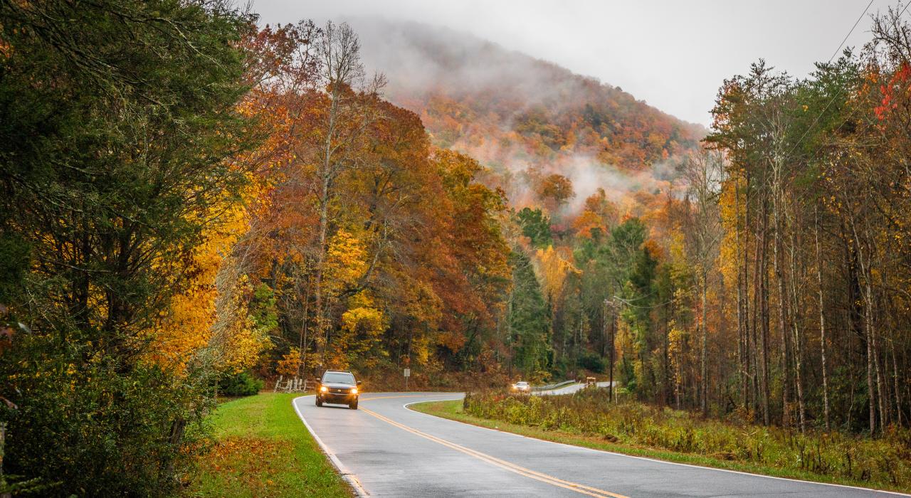 Una travesía entre curvas, montañas y árboles: el viaje más hermoso de Atlanta a Treehouse Grove
