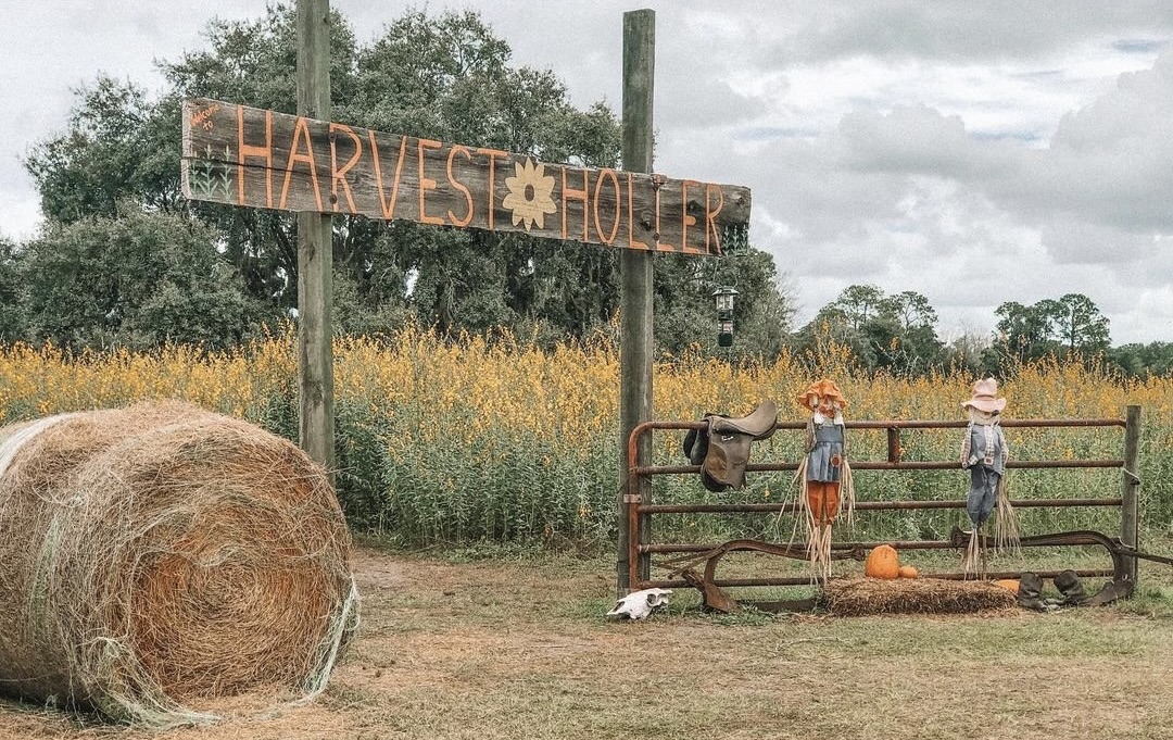 Otoño en Central Florida: festivales y eventos de Halloween