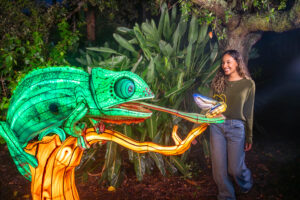 Aquatica Orlando estrena ILLUMINATE: el primer festival nocturno de linternas