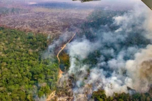 COP30 en la Amazonia de Brasil, la cumbre de todos los fracasos