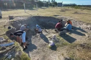 En Buenos Aires, un río de 200 mil años con riquezas paleontológicas