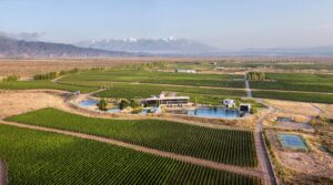 Dormir entre viñedos en la Argentina