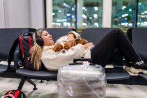 La “Pawprint Economy”: cuando las mascotas pasan a tener estatus casi humano en el turismo