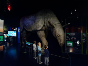 Frida Kahlo, Rafael y tesoros del Antiguo Egipto: las grandes exposiciones que convierten a Nueva York en capital cultural mundial en 2026