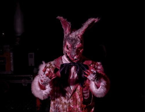 La experiencia de terror más viral llega a Las Vegas: huevos podridos y un conejo macabro