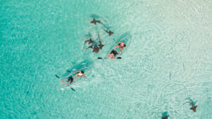 ¡En Las Bahamas, el paraíso también es sostenible!