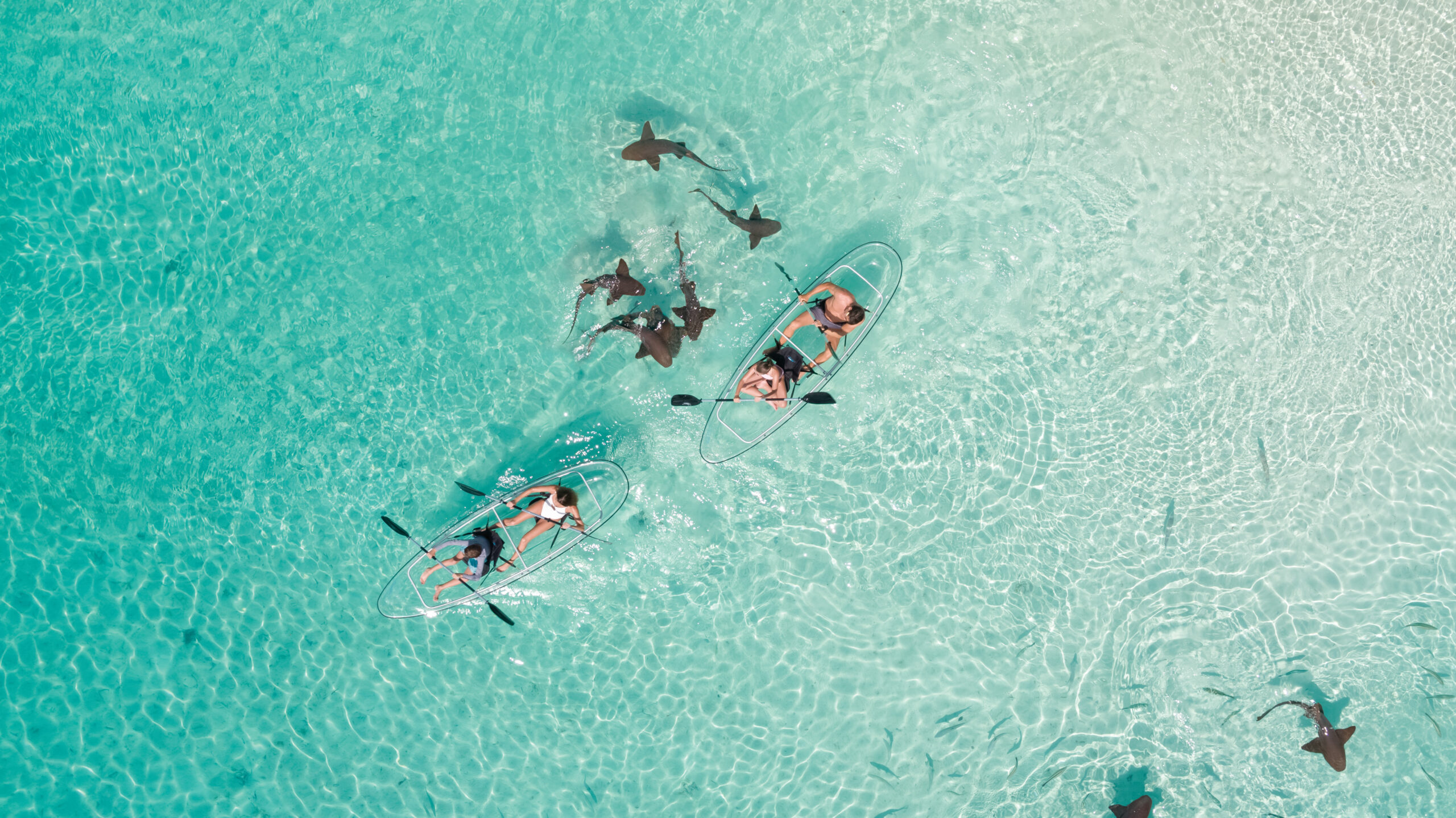 ¡En Las Bahamas, el paraíso también es sostenible!
