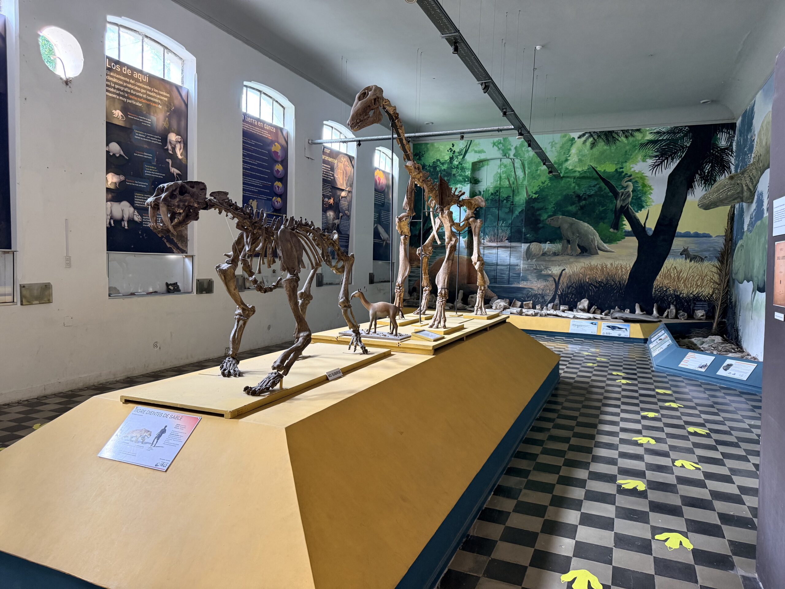 El arte de darle “otra vida” a los animales: así trabaja un taxidermista en Paraná