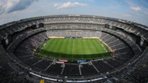 La FIFA vende el césped de la final del Mundial: cuesta US$ 450 y ya es furor entre los coleccionistas