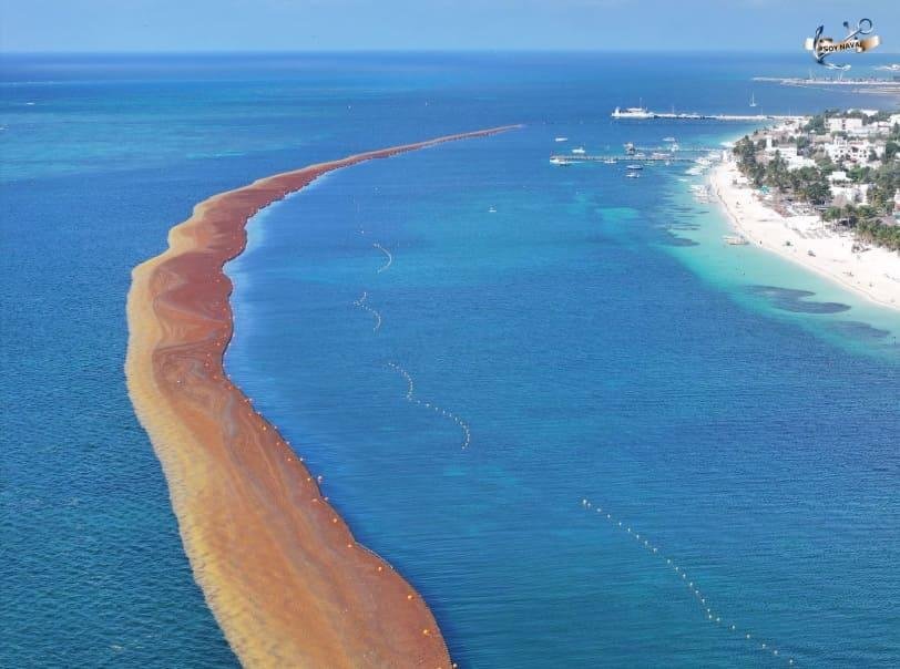 Sargazo récord en el Caribe mexicano: qué pasa en Cancún y qué deben saber los viajeros