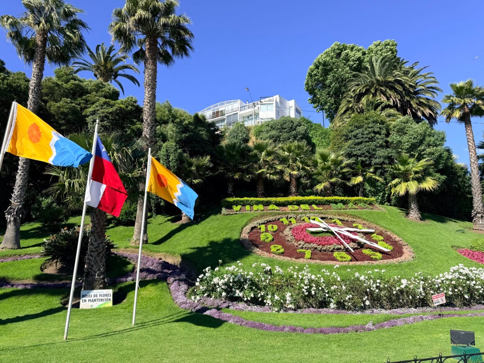 El Reloj de Flores de Viña del Mar: una postal que nació con un Mundial y se convirtió en símbolo de la ciudad