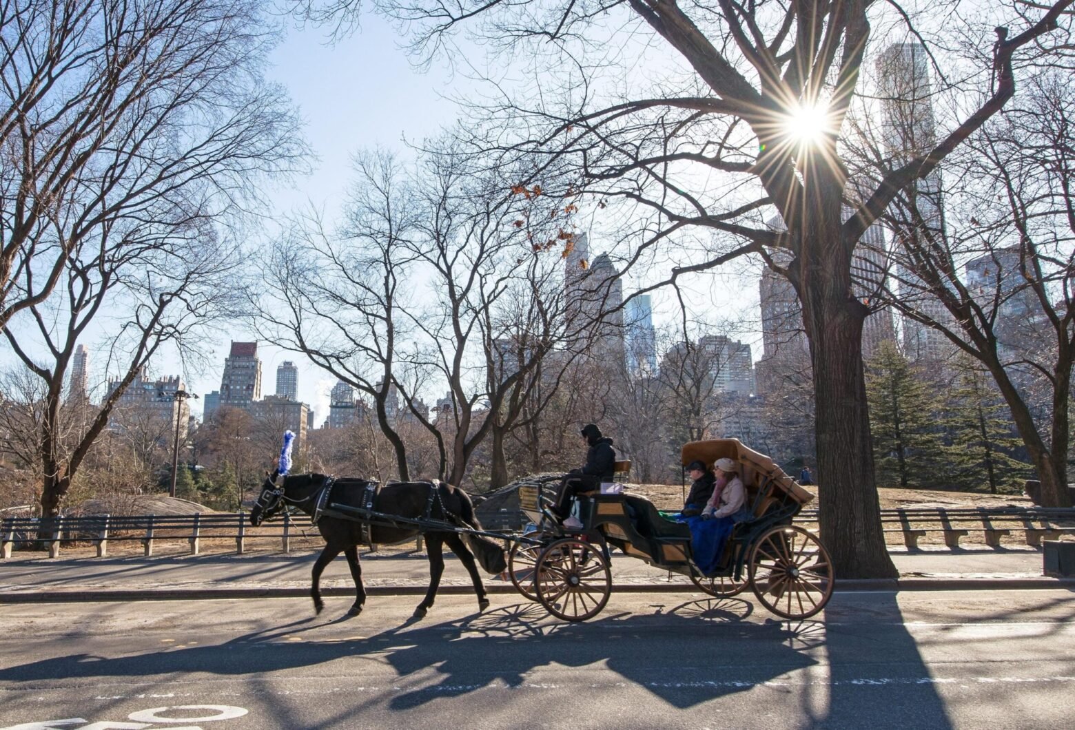 Nueva York se prepara para despedir a los históricos carruajes de Central Park después de 150 años